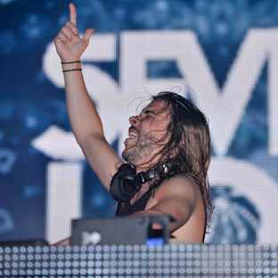 Seven Lions Image