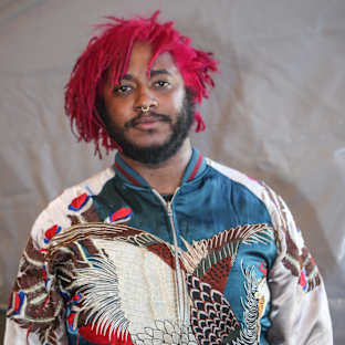 Thundercat Image