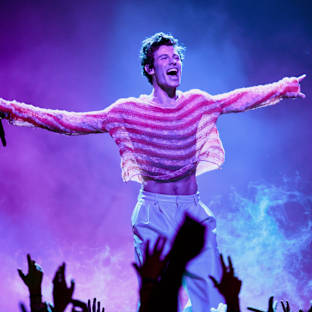 Shawn Mendes Image