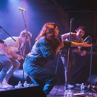 The Greeting Committee Image