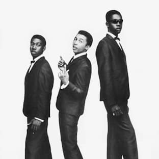The Wailers Image