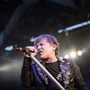 Bruce Dickinson Image