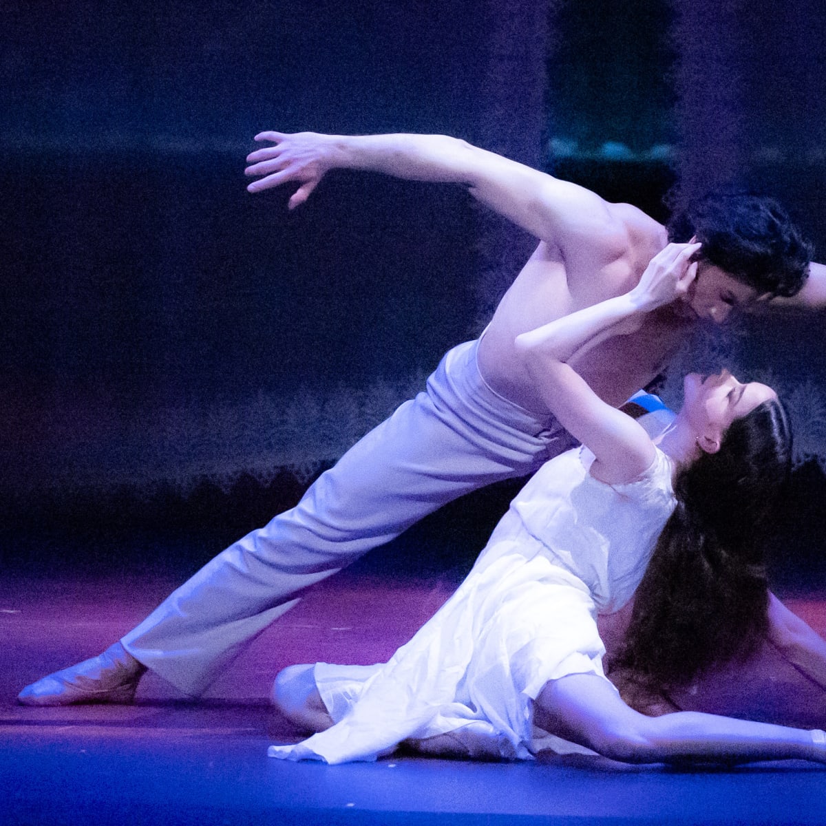 American Ballet Theater Seating Chart NYC Ballet NYCB Ticket For A