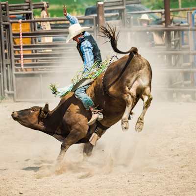 Music City Rodeo