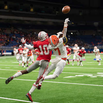 Albany Firebirds
