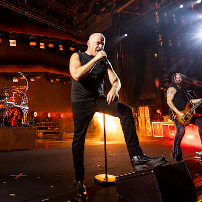 Disturbed