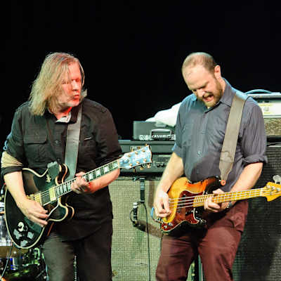Swans