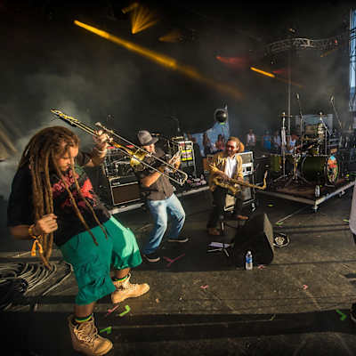 Tribal Seeds