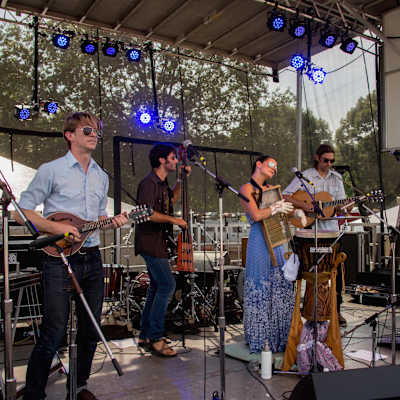 Elephant Revival