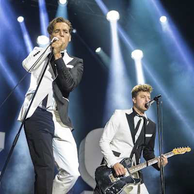 The Hives