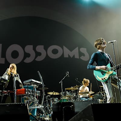 Blossoms