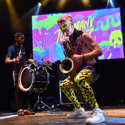 Too Many Zooz