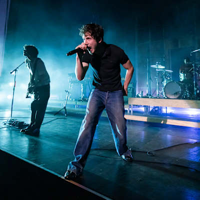 Wallows