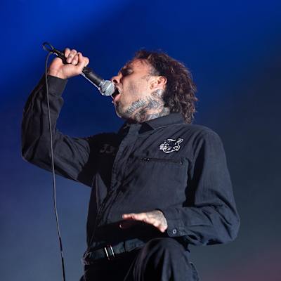 The Fever 333