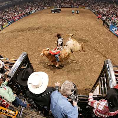 PBR - Team Series Parking