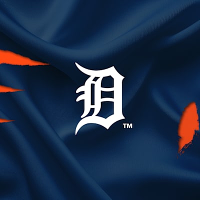 Detroit Tigers Parking
