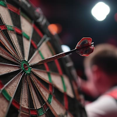 World Darts Championship
