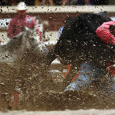 Calgary Stampede Rodeo