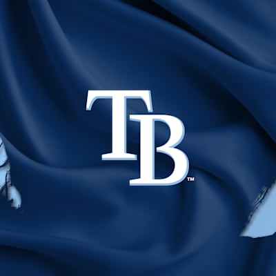 Tampa Bay Rays Parking