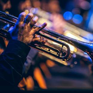 The Brudi Brothers Image