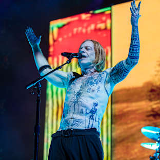 Danny Elfman Image