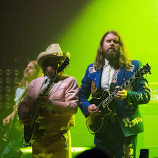 The Sheepdogs Image
