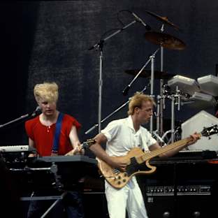 A Flock of Seagulls Image