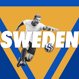 Sweden Mens National Soccer Parking Image
