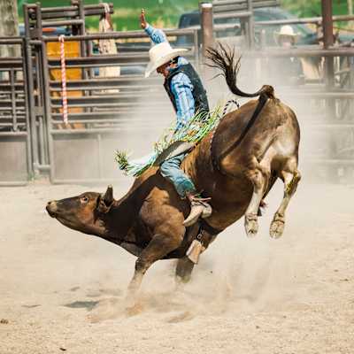 PRCA Rodeo