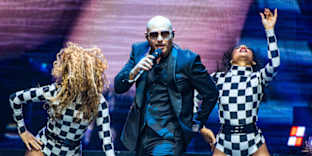 Pitbull Image