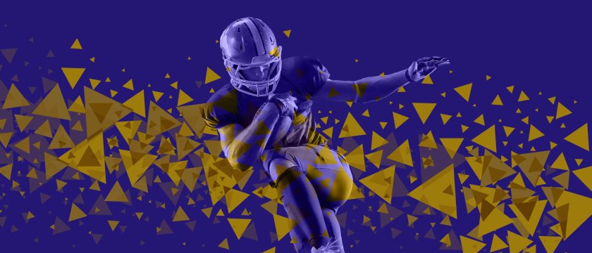 Baltimore Ravens