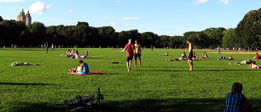The Great Lawn at Central Park